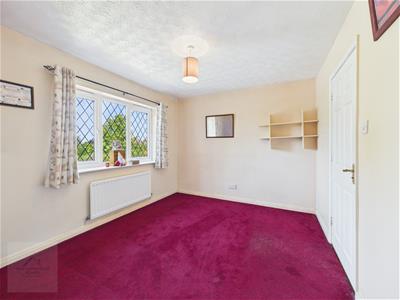 Picture 14